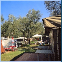 Camping San Remo  in Torri del Benaco am Gardasee