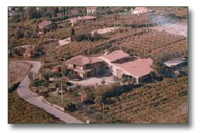Das Weingut Costadoro der Familie Lonardi produziert Bardolino Wein von hoher Qualität