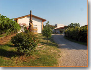 Weinkeller Raval - Wir sind weniger als 2 km von Bardolino und vom Gardasee entfernt, nach Verona sind es ungefähr 30 km.