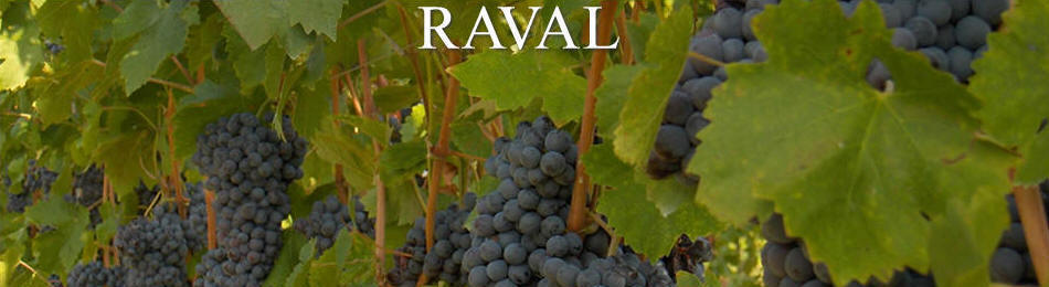 Weingut Raval - Agriturismo in Bardolino am Gardasee